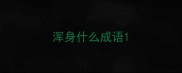 浑身什么成语