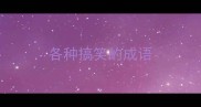 各种搞笑的成语