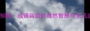 一叶知秋成语背后的自然智慧与生活启示