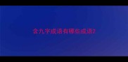 含九字成语有哪些成语