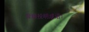 背暗投明成语