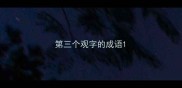 第三个观字的成语
