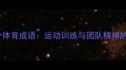 必考100个体育成语运动训练与团队精神的经典表达