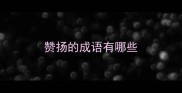 赞扬的成语有哪些