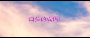 白头的成语