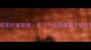 四字成语里的猪智慧这10个成语藏着千年生存哲学