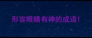 形容眼睛有神的成语