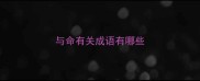 与命有关成语有哪些