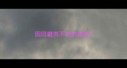 因回避而不说的成语