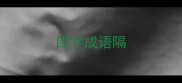 四字成语隔