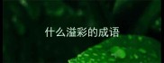什么溢彩的成语