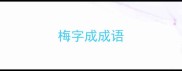 梅字成成语