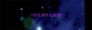 八什么来什么成语