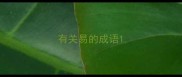 有关易的成语