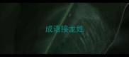 成语接龙姓