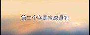 第二个字是木成语有