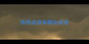 珠照成语有哪些成语