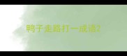 鸭子走路打一成语