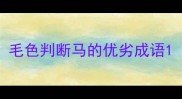 毛色判断马的优劣成语
