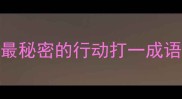 最秘密的行动打一成语