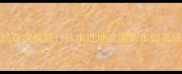 水字成语中的否定智慧从水过地皮湿到水到渠成的辩证哲学