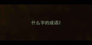 什么字的成语