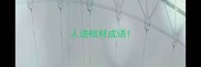人进棺材成语