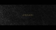 必珠的成语