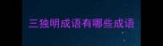 三独明成语有哪些成语