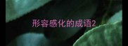形容感化的成语