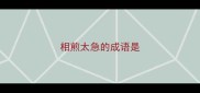 相煎太急的成语是