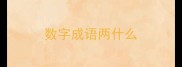 数字成语两什么