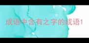成语中含有之字的成语