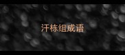 汗栋组成语