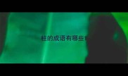 柱的成语有哪些