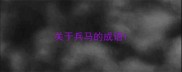 关于兵马的成语