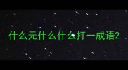 什么无什么什么打一成语