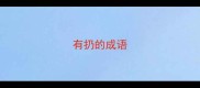 有扔的成语