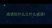 成语弦什么之什么成语