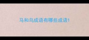 马和鸟成语有哪些成语