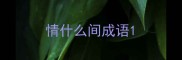 情什么间成语