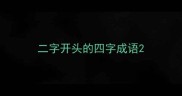 二字开头的四字成语