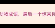 10个带虎字的动物成语最后一个惊呆你附趣味用法全