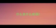 什么发什么成语