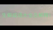 生僻成语大全及解释