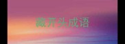 藏开头成语
