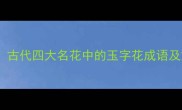 玉兰临风古代四大名花中的玉字花成语及文化内涵