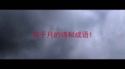 关于月的诗和成语