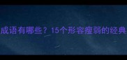 身体最瘦的成语有哪些15个形容瘦弱的经典成语及用法