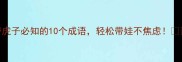 带虎子必知的10个成语轻松带娃不焦虑